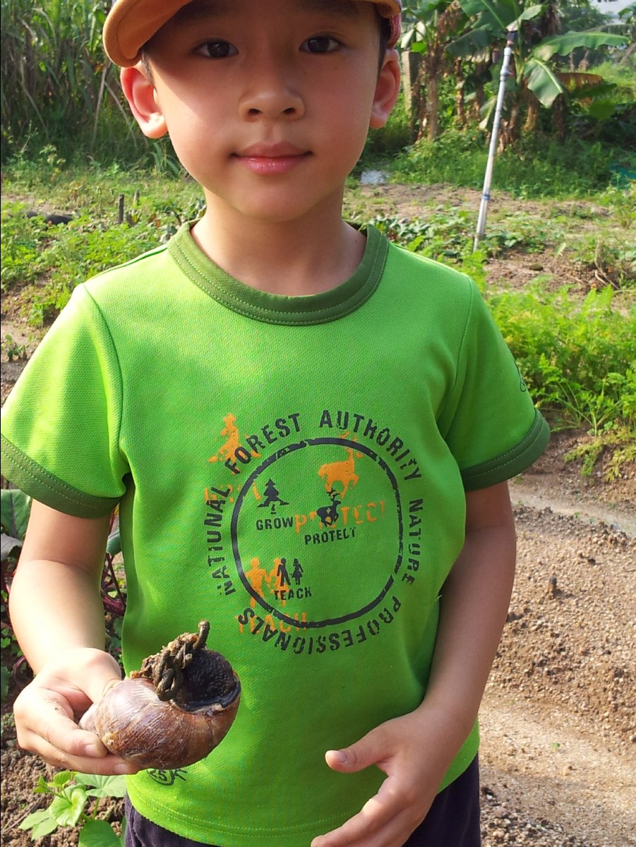 20120422Organic Farm38